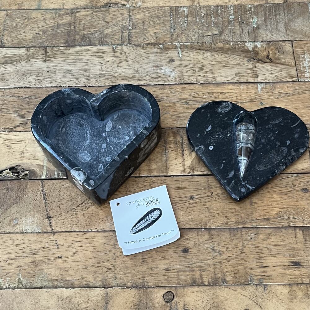 Orthoceras Fossil Heart Shaped Trinket Box 4" Carved Black Limestone NWT